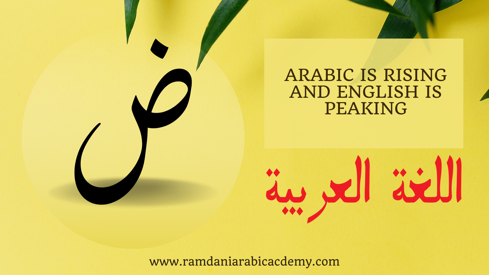 Arabic vs. English: Which Language Will Shape Tomorrow?